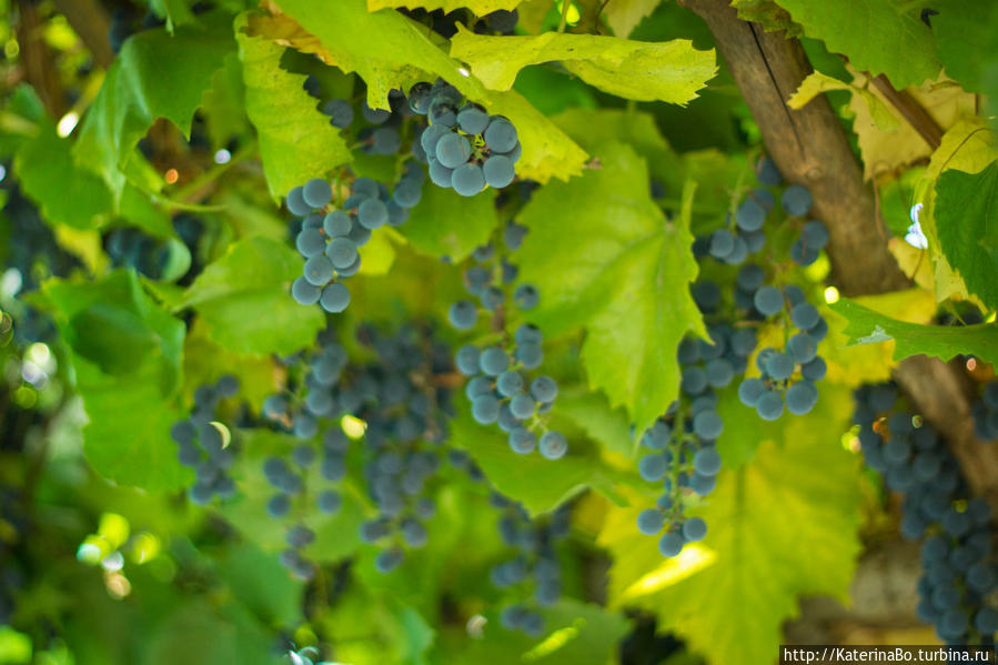 Самара. Дубль 2. Сентябрь Самара, Россия