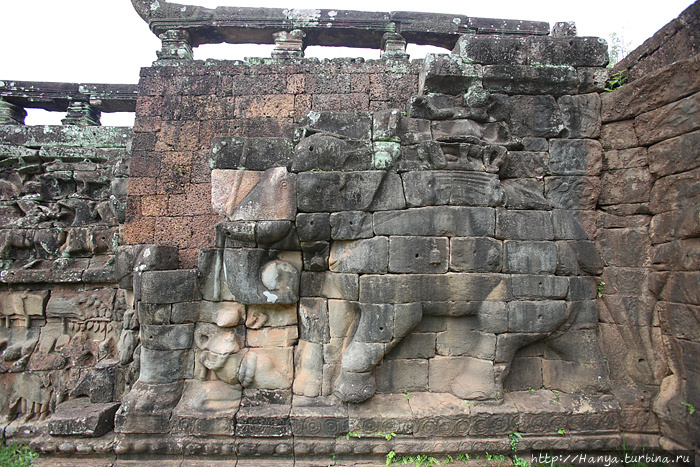 Слоновья Терраса. Рельеф слона в натуральную величину. Фото из интернета Ангкор (столица государства кхмеров), Камбоджа
