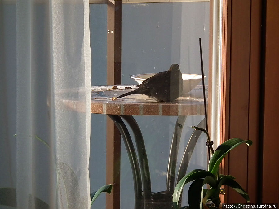 Суббота под знаком ОМ