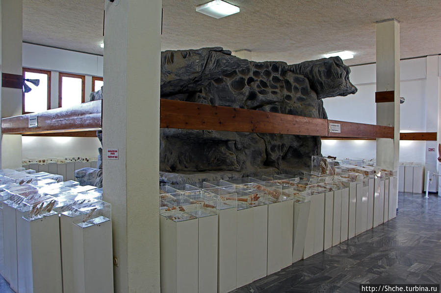 Петралона — пещера, музей и не только Петралона, Греция