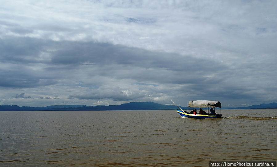 Дикий мир озера Чамо Национальный парк Нечайзар, Эфиопия