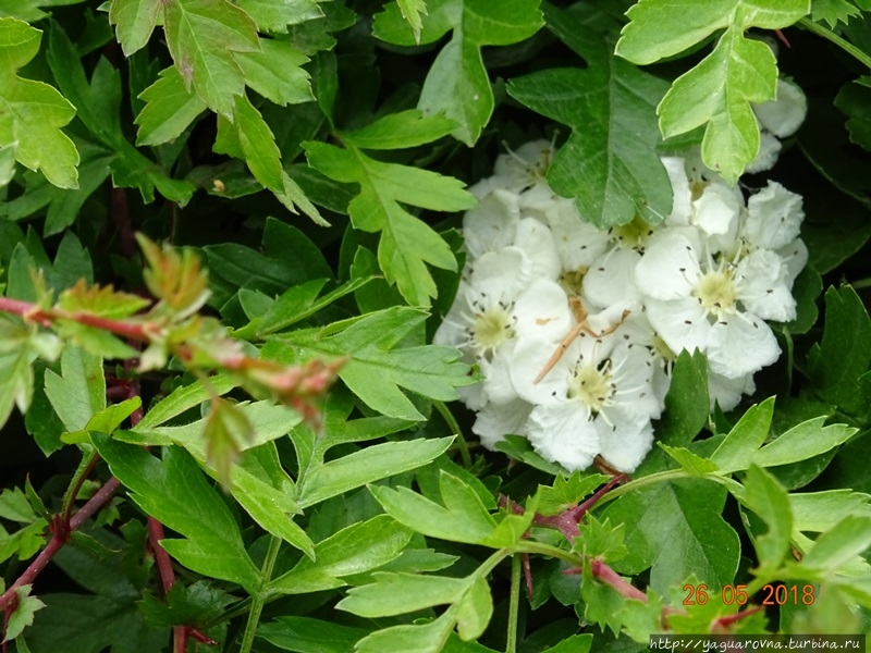 Ньюгрейндж курган Бру-на-Бойн археологический комплекс, Ирландия Ньюгрейндж курган Бру-на-Бойн археологический комплекс, Ирландия