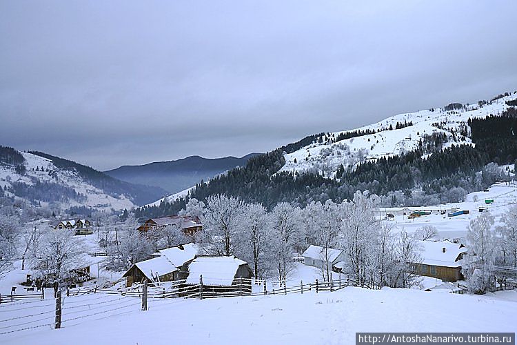 Буковец Буковец, Украина