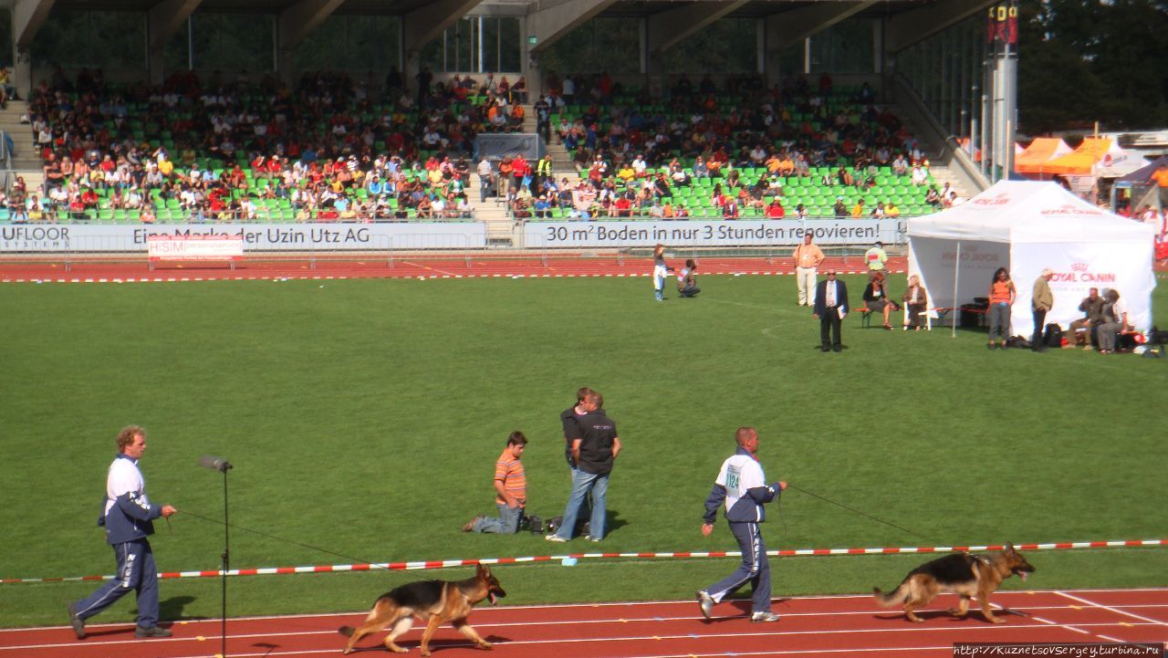 Зигер в Ульме Ульм, Германия