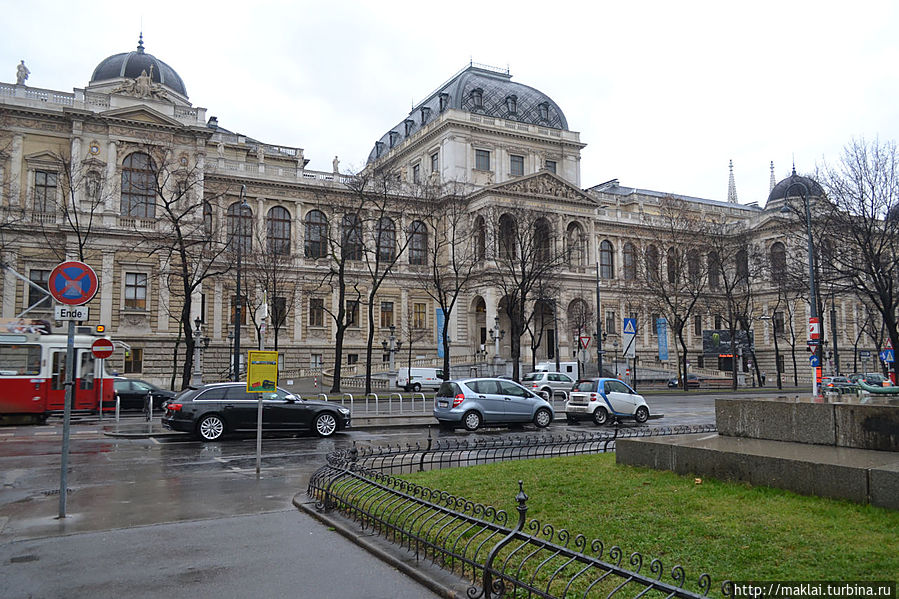 Университет.