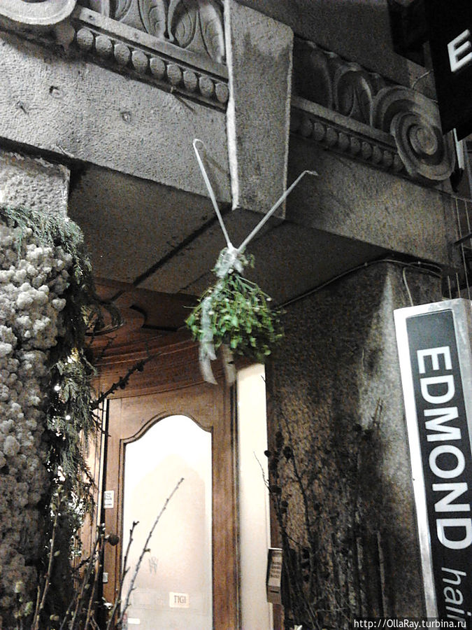А этот букетик омелы над входом в цветочный магазин, а там  такой закуточек — встали под омелу и поцеловались — европейский обычай:) Мальмё, Швеция