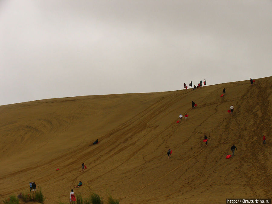 Ninety Miles Beach, Sandboarding Район Нортленд, Новая Зеландия