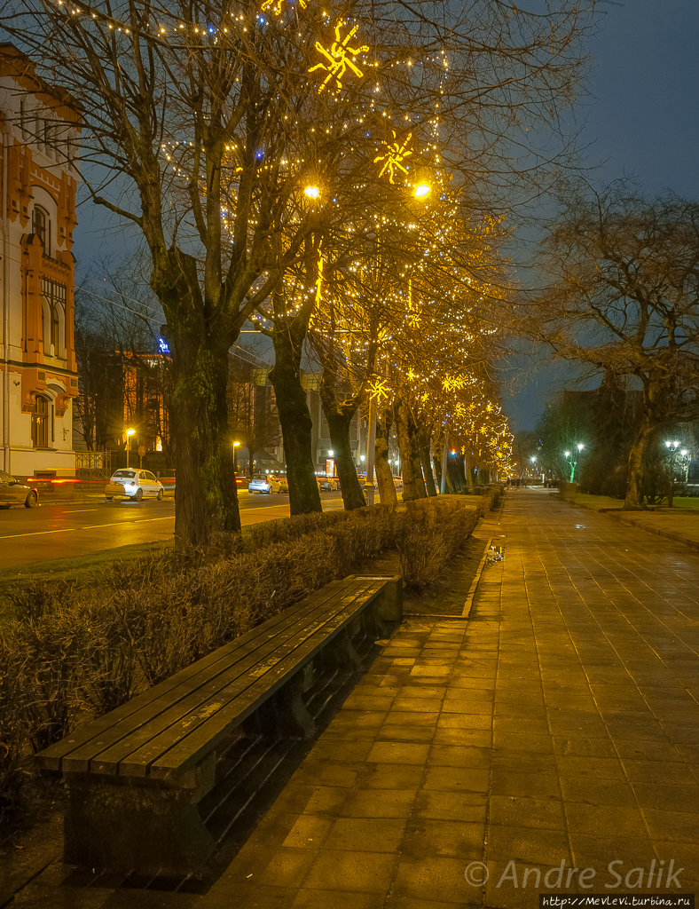 Бесснежное наше рождество Рига, Латвия