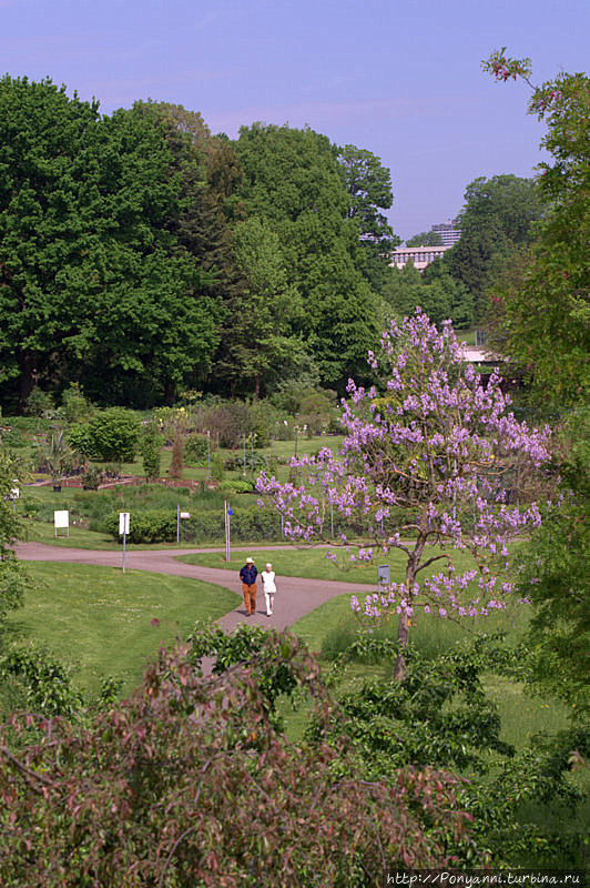 Замок и парк Хохенхайм — история штутгартского университета Штутгарт, Германия