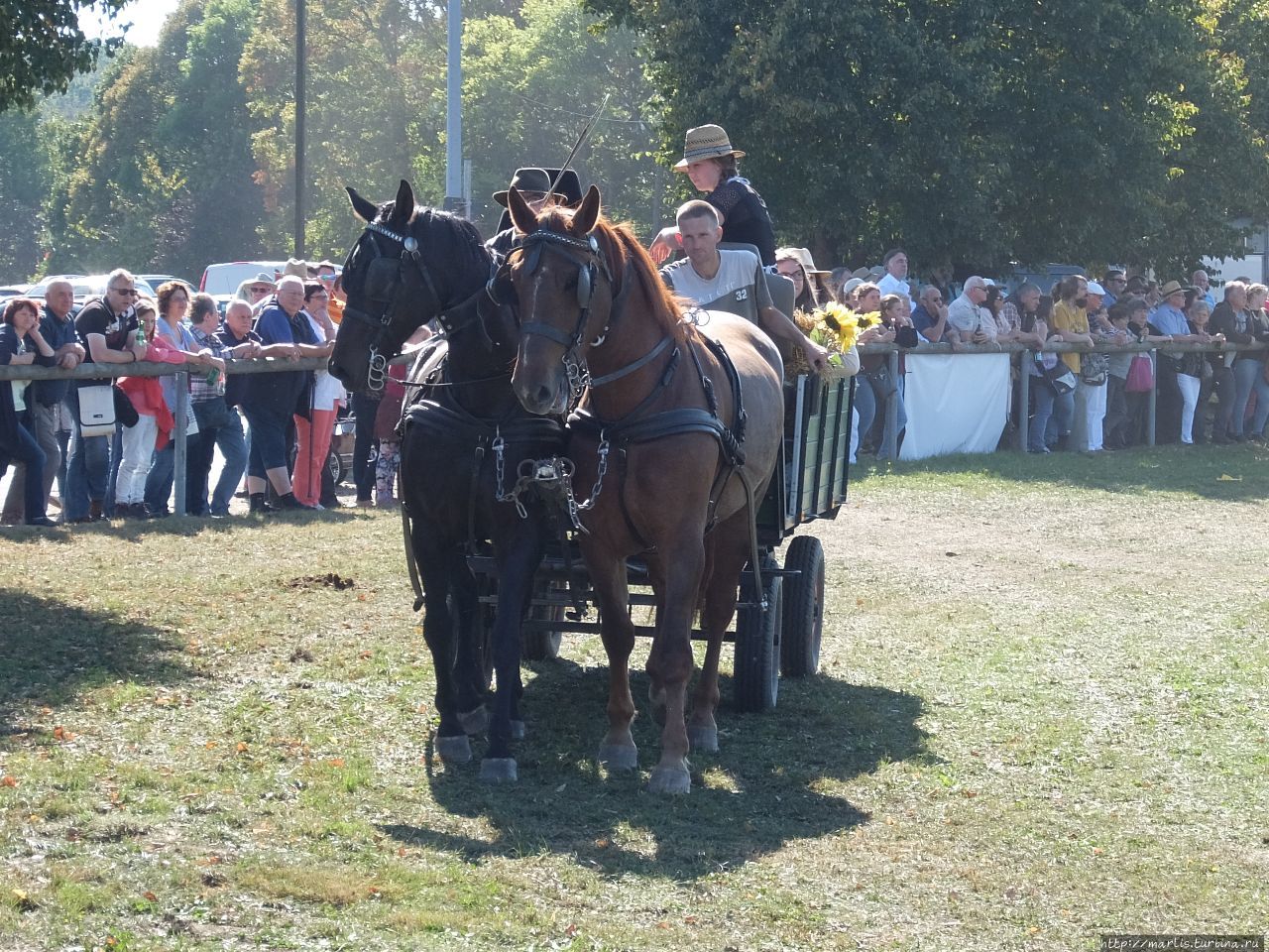Баба з возу — кобыле легше Фишбах, Германия