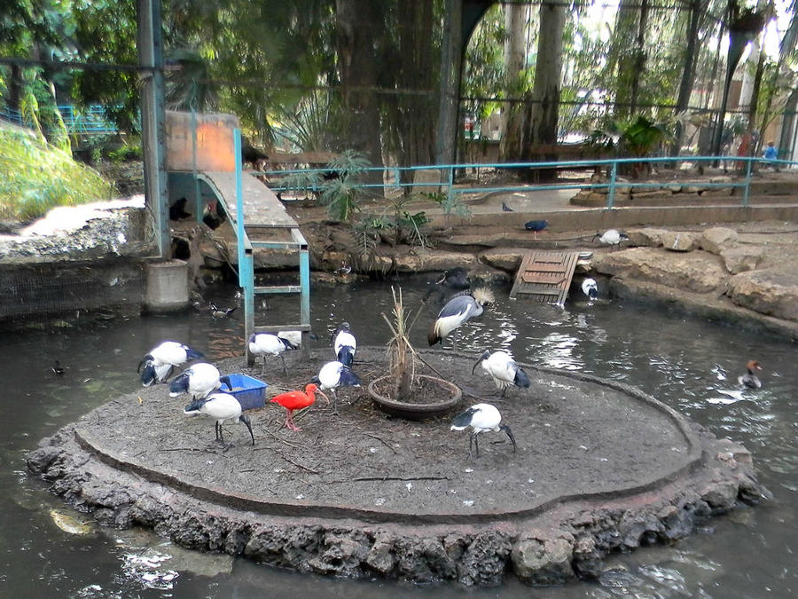 Просто суббота Тель-Авив, Израиль