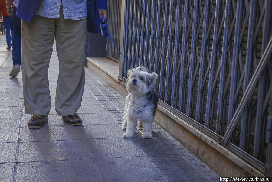 Неспешная прогулка. Вечерний Ситжес Ситжес, Испания