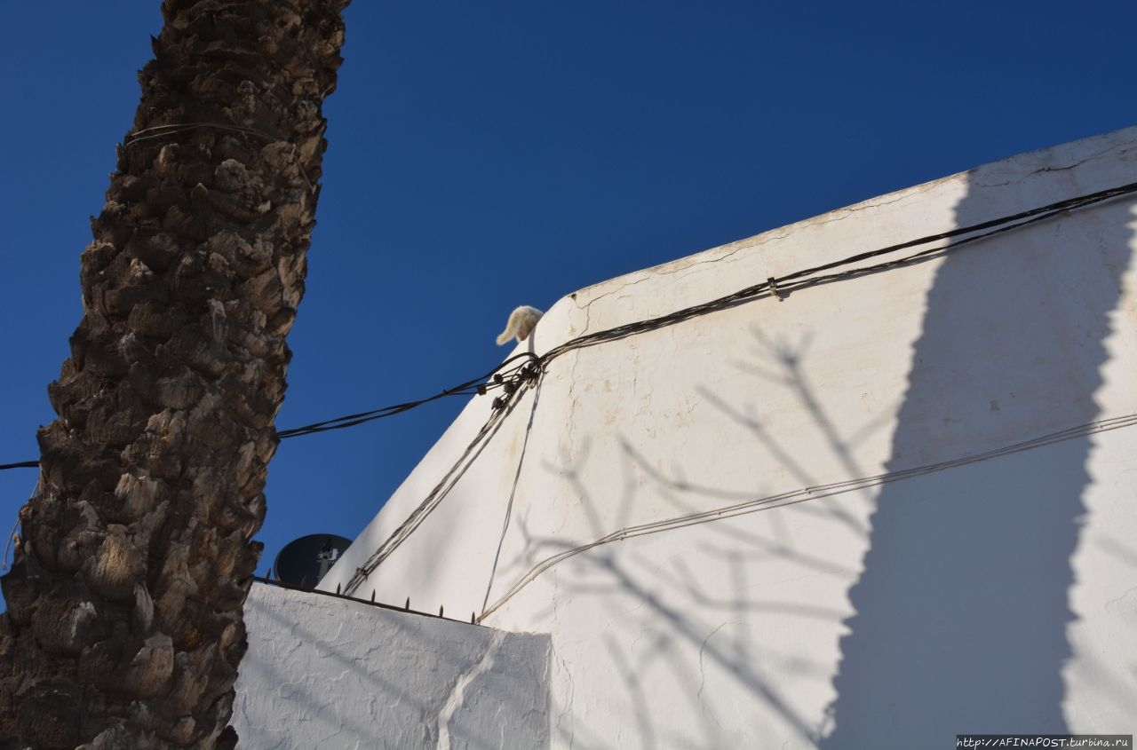 Мелодии Андалузского сада Рабат, Марокко