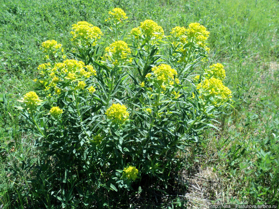 Последний день весны Оренбургская область, Россия