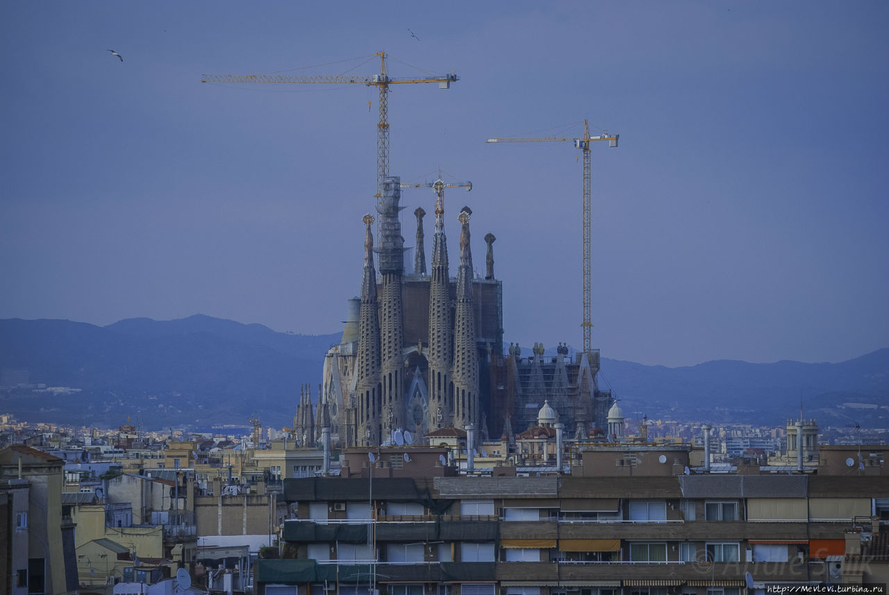 Май в Барселоне Барселона, Испания