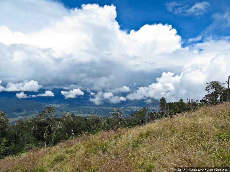 Папуа-дневник, часть №8. На самом высоком вулкане Океании. Вулкан Гилуве (4367м), Папуа-Новая Гвинея