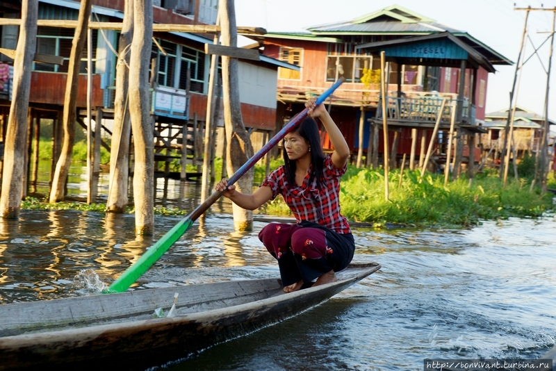 Женщины гребут обычным способом Озеро Инле, Мьянма