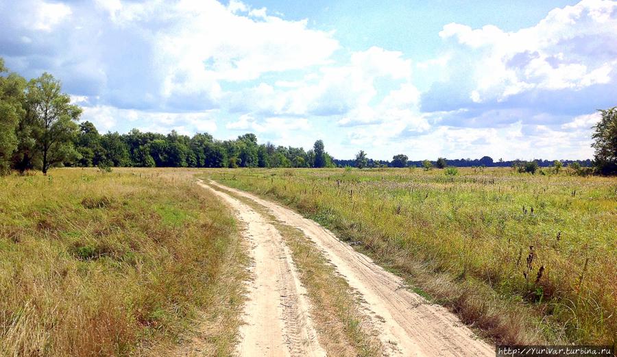 Грунтовая дорога в заливных лугах Вышгород, Украина