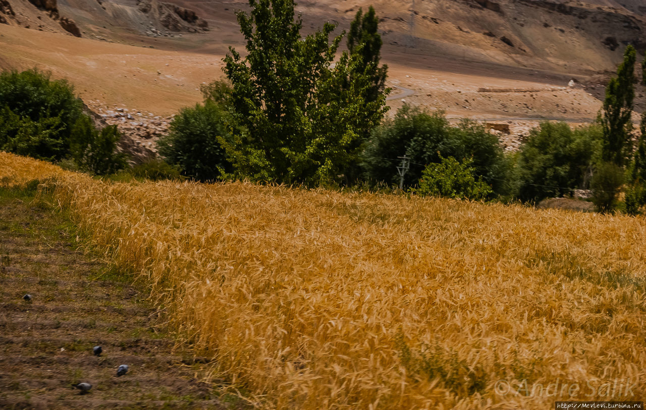 Дорога Лех – Каргил Лех, Индия