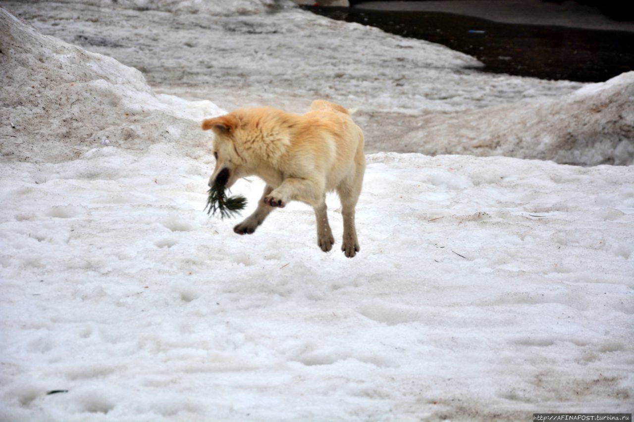 Хорошее настроение Терскол, Россия
