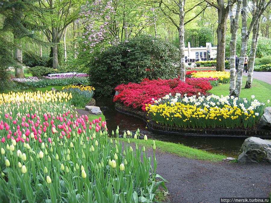 Парк тюльпанов Кёкенхоф Лиссе, Нидерланды