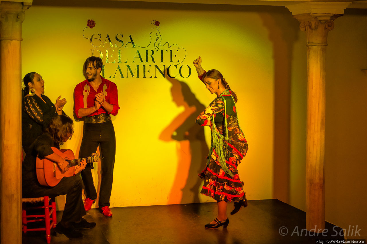 Casa del Arte Flamenco Гранада, Испания