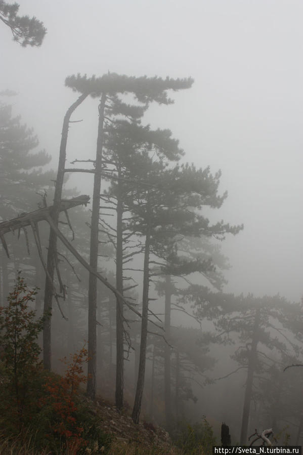 Спускались под дождь и в тумане Республика Крым, Россия