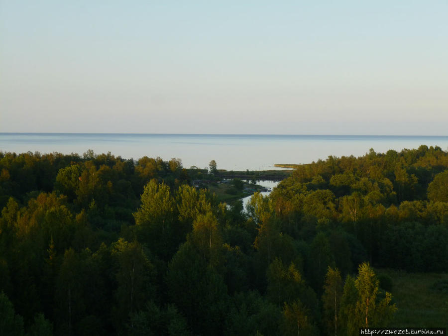 Ладожское озеро с высоты геодезической вышки Санкт-Петербург и Ленинградская область, Россия