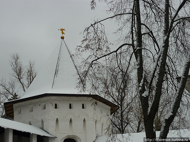 Январь. Звенигород, Моско