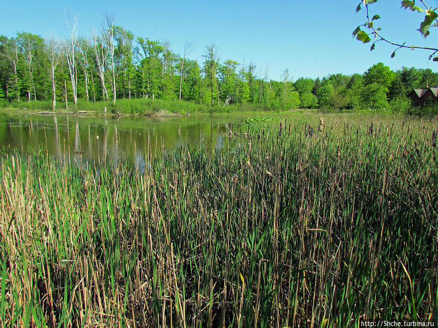 Озеро в парке North Chagrin Reservation под Кливлендом Мейфилд Хайтс, CША