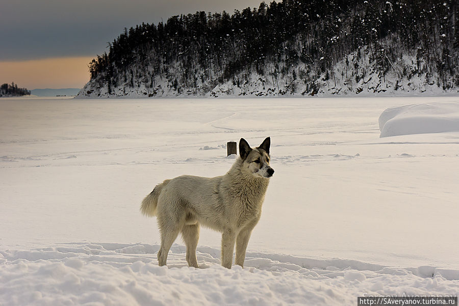 Рыбацкая деревня Катунь на полуострове Святой Нос