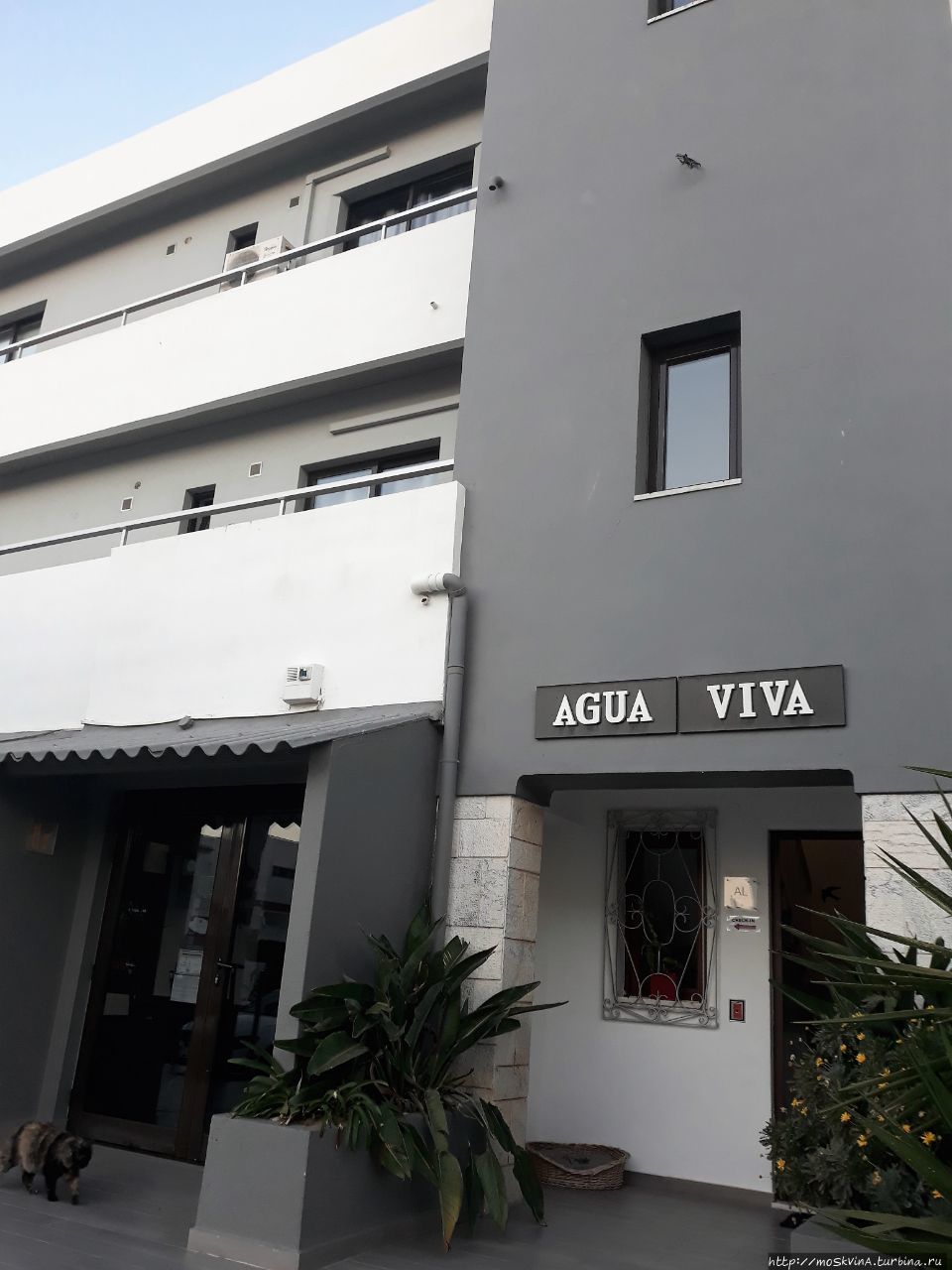 Отель, в котором мы жили в Албуфейре, Португалия Албуфейра, Португалия