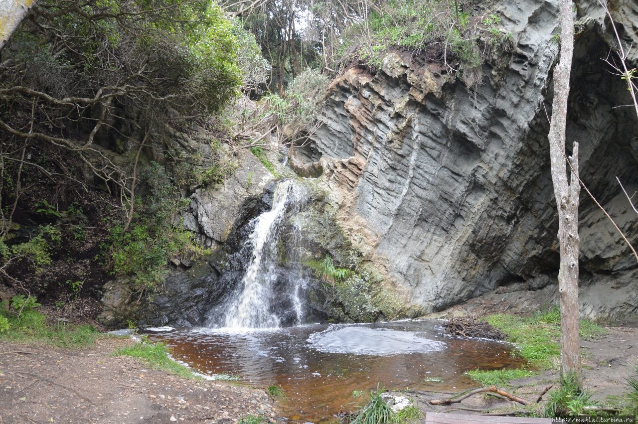 Тропами Тситсикаммы. Mouth Trail и Waterfall Trail Стормс-Ривер, ЮАР