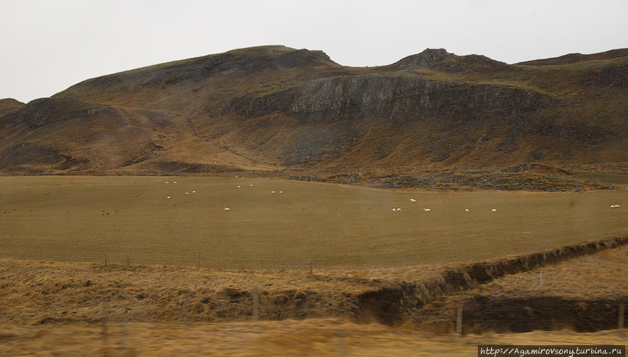 Спящий Эйяфьятлайокудль или гонки за солнцем по Исландии Исландия