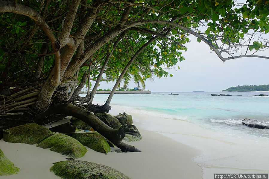 Остров Ничегонеделанья Бандос, Мальдивские острова