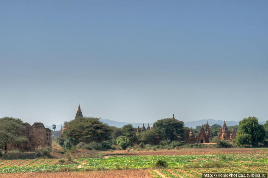 Город пагод и ступ. Такие разные ступы Баган, Мьянма