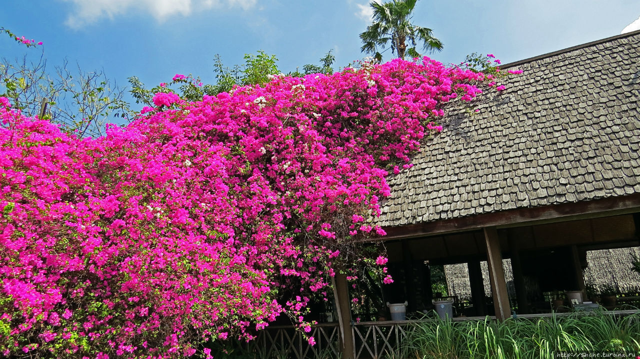 Сад роз и Ботанический сад в Сампране (близ Бангкока) Сам-Пран, Таиланд