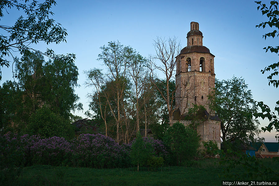 Сиреневый туман Кировская область, Россия