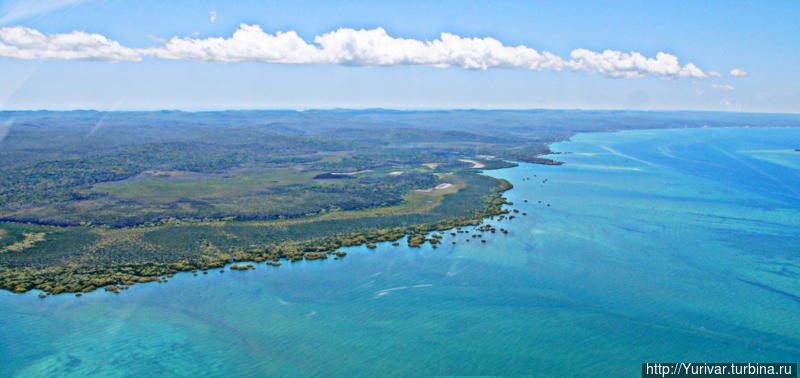На западной части острова в основном мангровые заросли