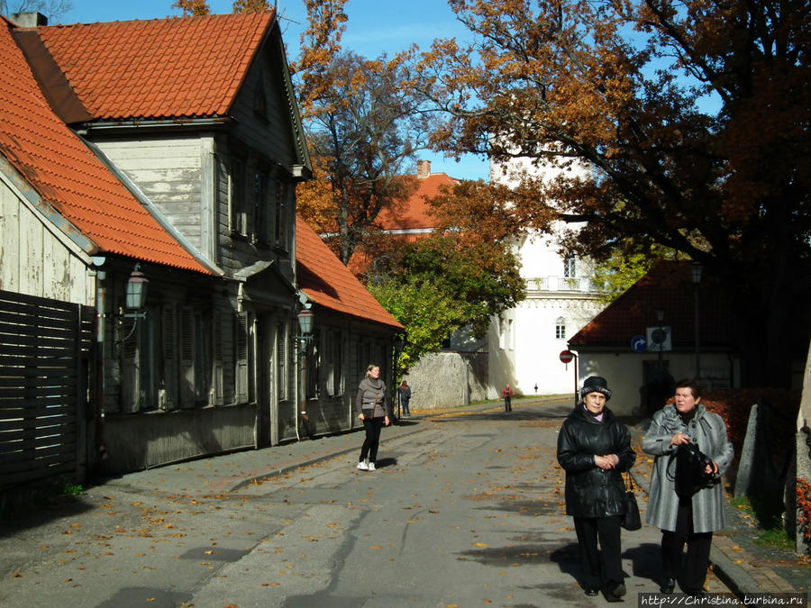 Венден в подарок Бирону Цесис, Латвия