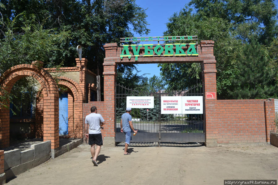 На встречу с дубом-патриархом Дубовка, Россия