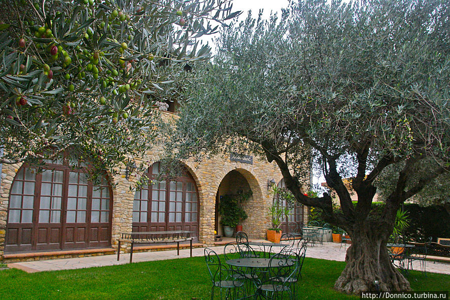 А вот и общий вид ресторана, за которым явно хорошо ухаживают