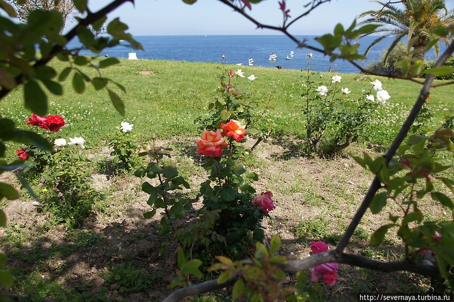 Прогулка по Beaulieu-sur-Mer Больё-сюр-Мер, Франция