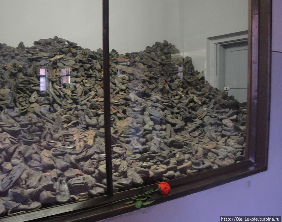 Обувь заключенных — ботинки, сабо. Независимо от времени года. Освенцим, Польша