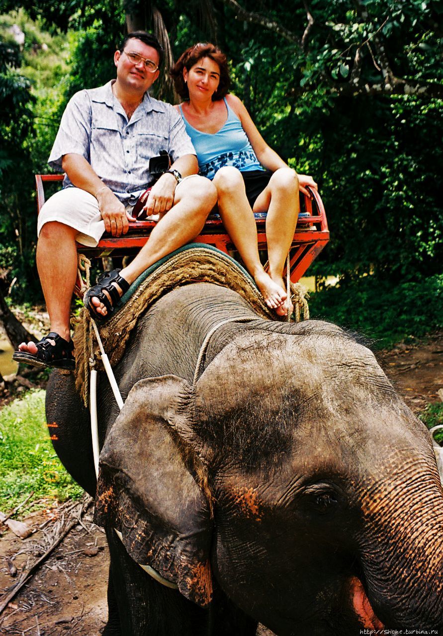 Треккинг на слонах На-Муянг, Таиланд