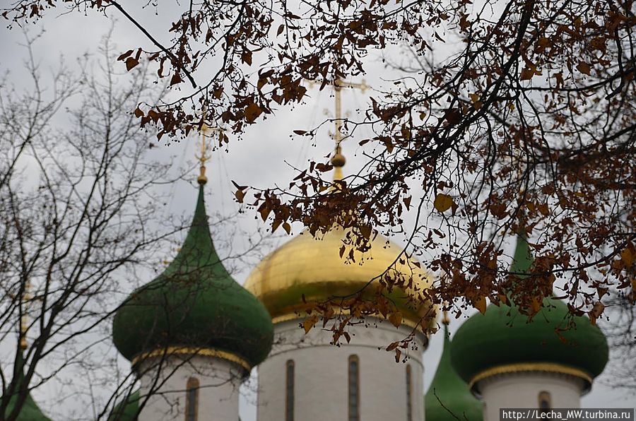 Зелень и золото куполов и деревьев 2 Суздаль, Россия