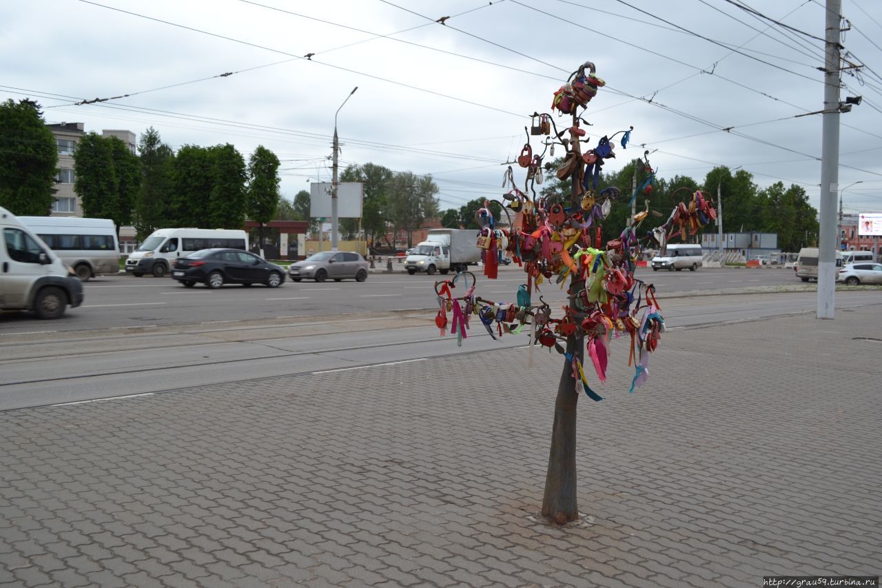 Дерево любви в гомеле