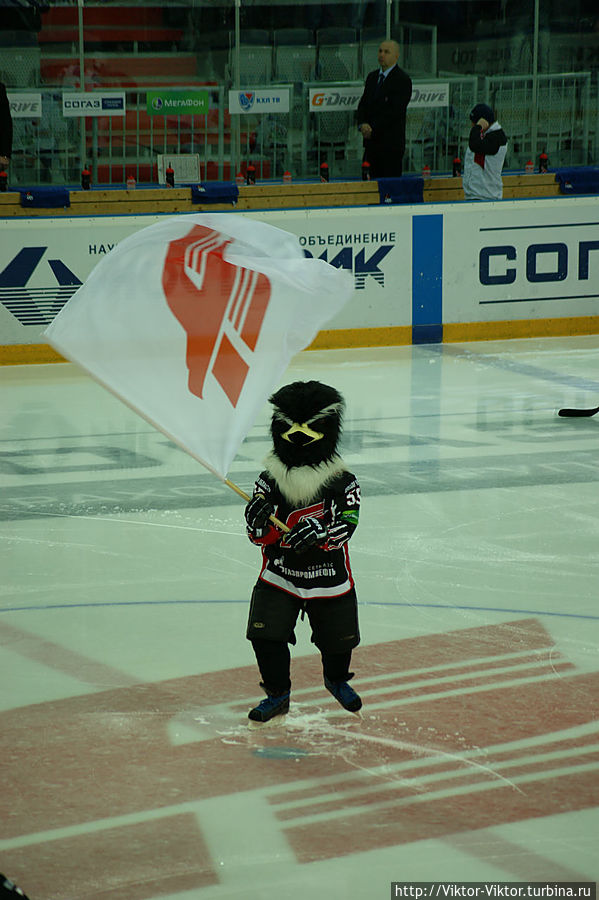 Авангард сильнее Льва Омск, Россия