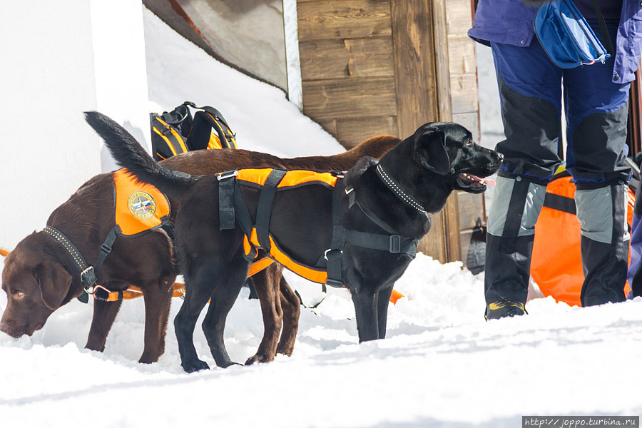 Как весело отдохнуть в Красной Поляне и не разориться Красная Поляна, Россия