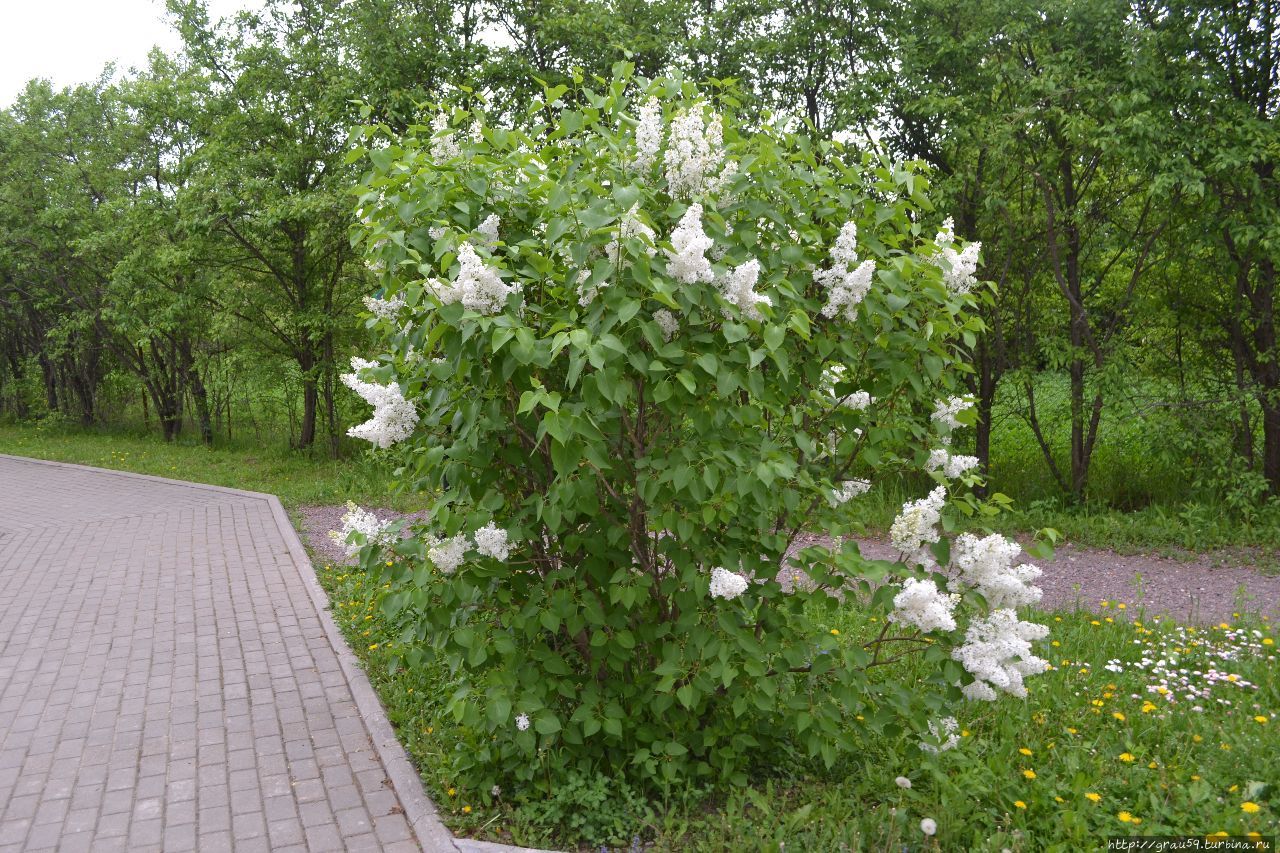 Усадьба Спасское-Лутовиново Спасское-Лутовиново, Россия